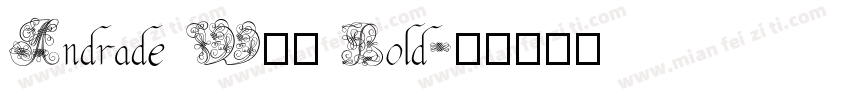 Andrade W01 Bold字体转换